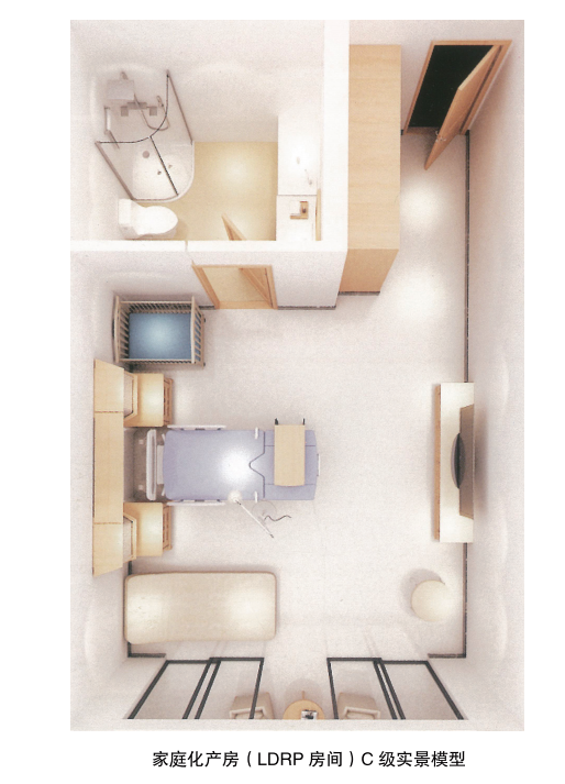 LDRP房间实景模型